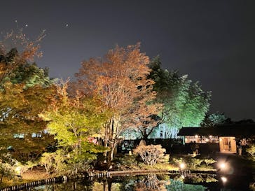 国営昭和記念公園 秋の夜散歩に投稿された画像（2023/11/12）