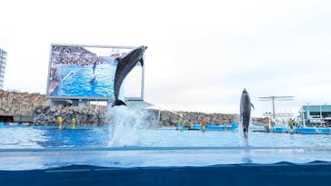 名古屋港水族館に投稿された画像（2023/11/12）