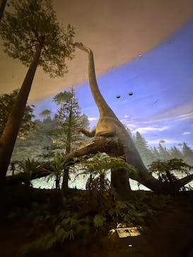 福井県立恐竜博物館に投稿された画像（2023/11/12）