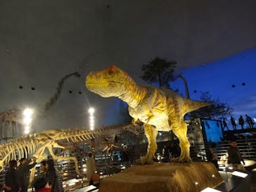 福井県立恐竜博物館に投稿された画像（2023/11/12）