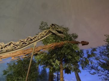 福井県立恐竜博物館に投稿された画像（2023/11/12）