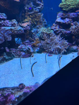 サンシャイン水族館に投稿された画像（2023/11/12）