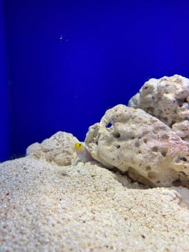 サンシャイン水族館に投稿された画像（2023/11/12）