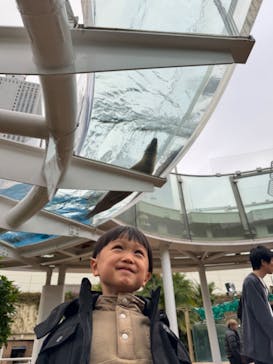 サンシャイン水族館に投稿された画像（2023/11/12）