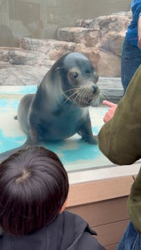 サンシャイン水族館に投稿された画像（2023/11/12）