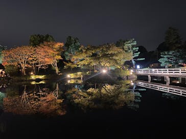 国営昭和記念公園 秋の夜散歩に投稿された画像（2023/11/12）