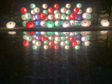 国営昭和記念公園 秋の夜散歩に投稿された画像（2023/11/12）