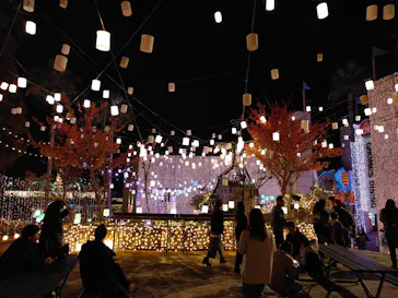 ひらかたパークに投稿された画像（2023/11/12）