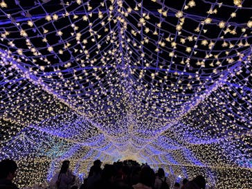 東京メガイルミに投稿された画像（2023/11/12）