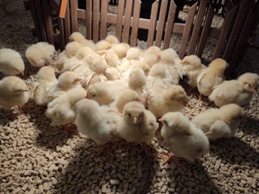 Moff アニマル カフェ イーアス 高尾店に投稿された画像（2023/11/12）