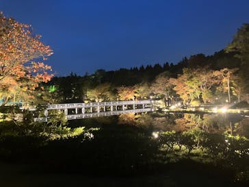 国営昭和記念公園 秋の夜散歩に投稿された画像（2023/11/12）