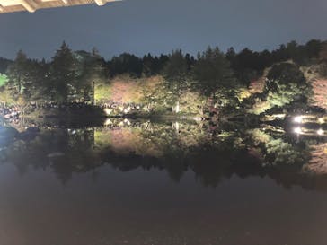 国営昭和記念公園 秋の夜散歩に投稿された画像（2023/11/12）