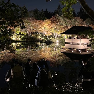 国営昭和記念公園 秋の夜散歩に投稿された画像（2023/11/12）