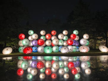 国営昭和記念公園 秋の夜散歩に投稿された画像（2023/11/12）