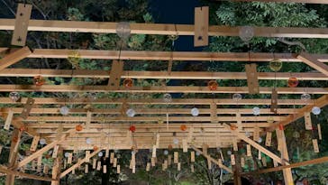 国営昭和記念公園 秋の夜散歩に投稿された画像（2023/11/12）