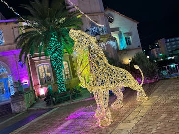 フェスタ・ルーチェに投稿された画像（2023/11/12）