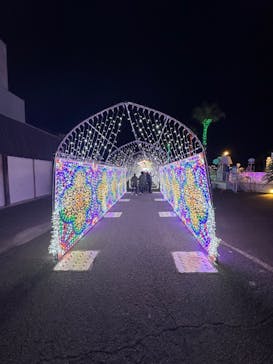 フェスタ・ルーチェに投稿された画像（2023/11/12）