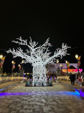 フェスタ・ルーチェに投稿された画像（2023/11/12）