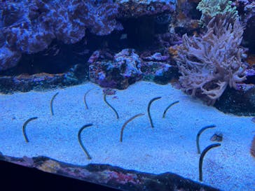 サンシャイン水族館に投稿された画像（2023/11/12）