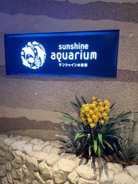 サンシャイン水族館に投稿された画像（2023/11/12）