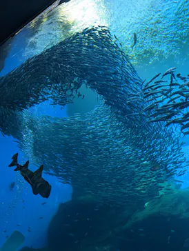 仙台うみの杜水族館に投稿された画像（2023/11/12）