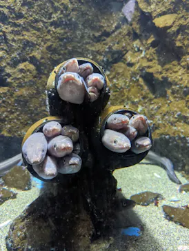 仙台うみの杜水族館に投稿された画像（2023/11/12）