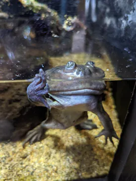 仙台うみの杜水族館に投稿された画像（2023/11/12）