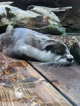 仙台うみの杜水族館に投稿された画像（2023/11/12）