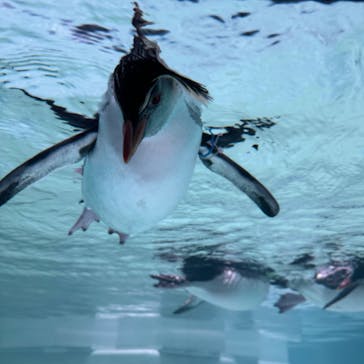 AOAO SAPPOROに投稿された画像（2023/11/12）