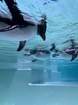 AOAO SAPPOROに投稿された画像（2023/11/12）