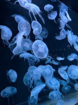 AOAO SAPPOROに投稿された画像（2023/11/12）