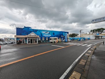越前松島水族館に投稿された画像（2023/11/12）