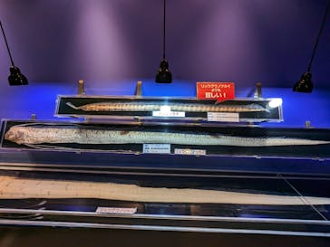 越前松島水族館に投稿された画像（2023/11/12）