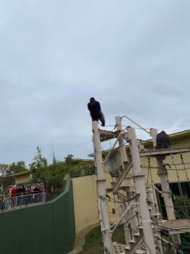 名古屋市東山動植物園に投稿された画像（2023/11/13）