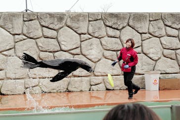 那須どうぶつ王国に投稿された画像（2023/11/13）