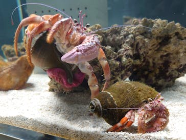 AOAO SAPPOROに投稿された画像（2023/11/13）