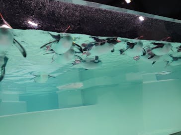 AOAO SAPPOROに投稿された画像（2023/11/13）