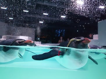 AOAO SAPPOROに投稿された画像（2023/11/13）