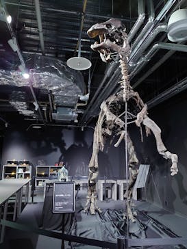 AOAO SAPPOROに投稿された画像（2023/11/13）