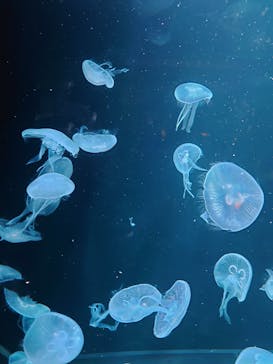 AOAO SAPPOROに投稿された画像（2023/11/13）