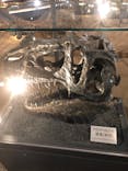 福井県立恐竜博物館に投稿された画像（2023/11/13）