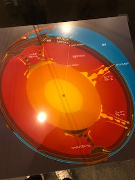 福井県立恐竜博物館に投稿された画像（2023/11/13）