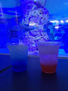 すみだ水族館に投稿された画像（2023/11/13）