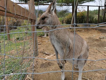 那須どうぶつ王国に投稿された画像（2023/11/13）