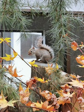 那須どうぶつ王国に投稿された画像（2023/11/13）