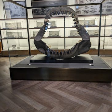 アクアワールド茨城県大洗水族館に投稿された画像（2023/11/13）