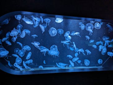 AOAO SAPPOROに投稿された画像（2023/11/13）