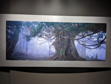 AOAO SAPPOROに投稿された画像（2023/11/13）