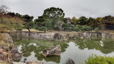 元離宮二条城に投稿された画像（2023/11/13）