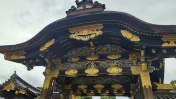 元離宮二条城に投稿された画像（2023/11/13）